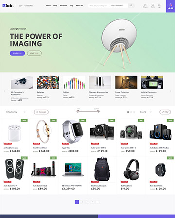 Wordpress Online Store Theme