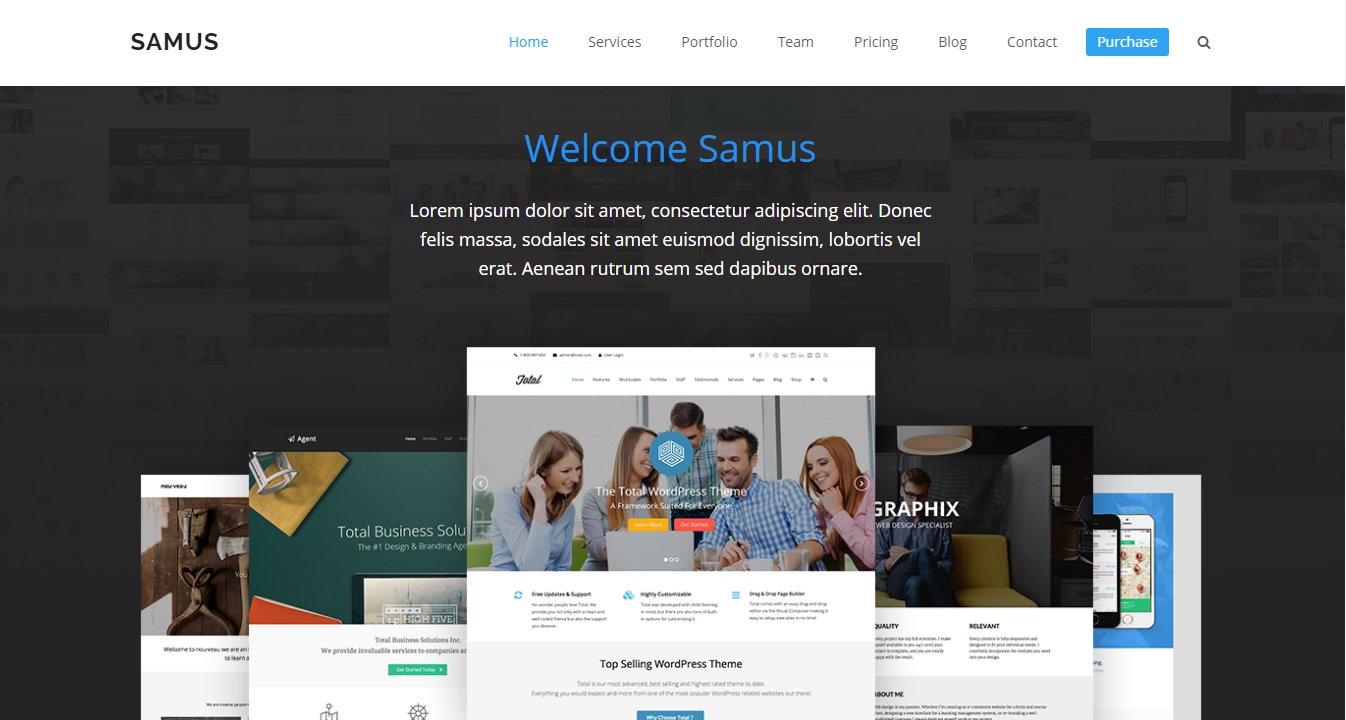 Total &ndash; демо бизнес темы WordPress