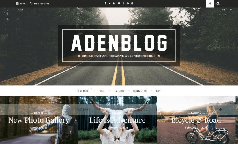 Aden &ndash; демо WordPress темы для блога