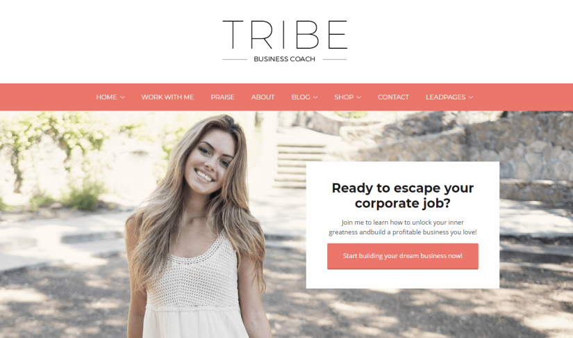 Tribe &ndash; демо WordPress темы для блога