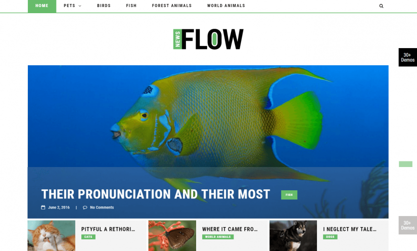FlowNews &ndash; демо WordPress темы для блога