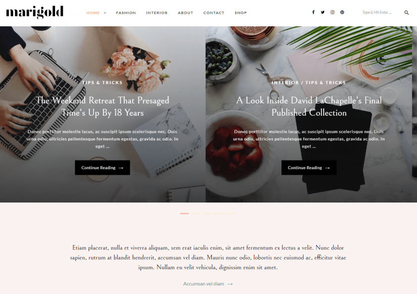 Marigold &ndash; демо WordPress темы для блога