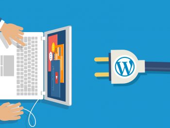 wordpress plugin