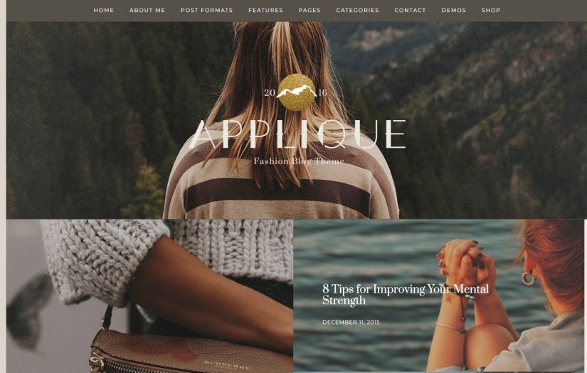 Applique &ndash; демо WordPress темы для блога