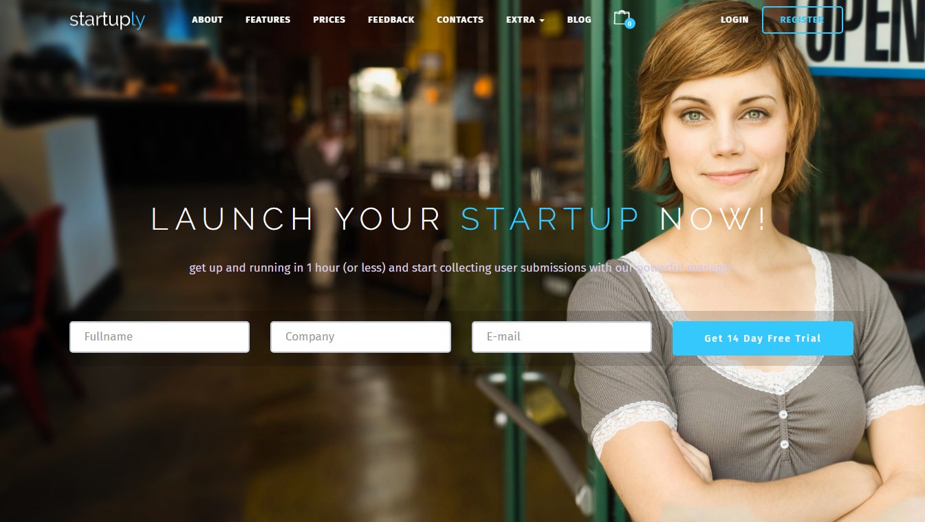 Startuply &ndash; демо бизнес темы WordPress