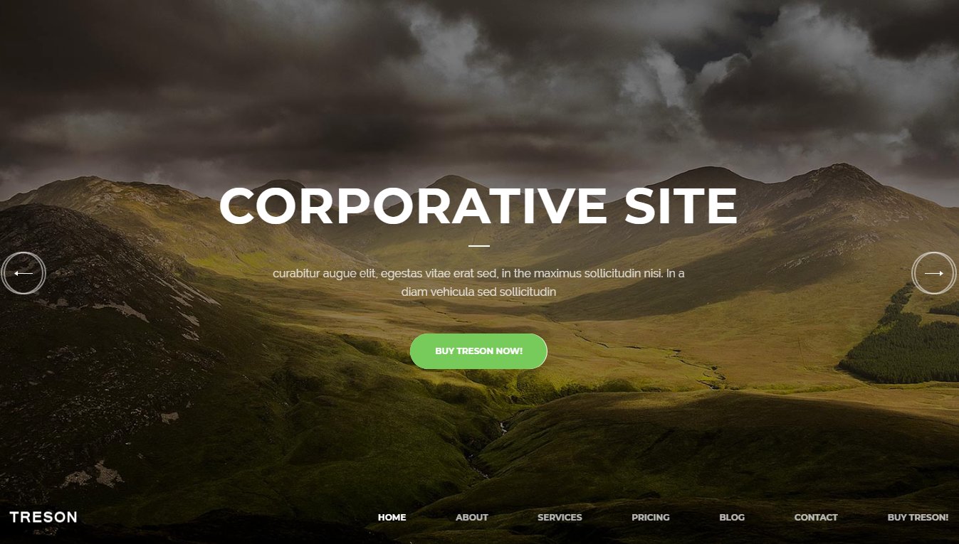 Treson &ndash; демо бизнес темы WordPress