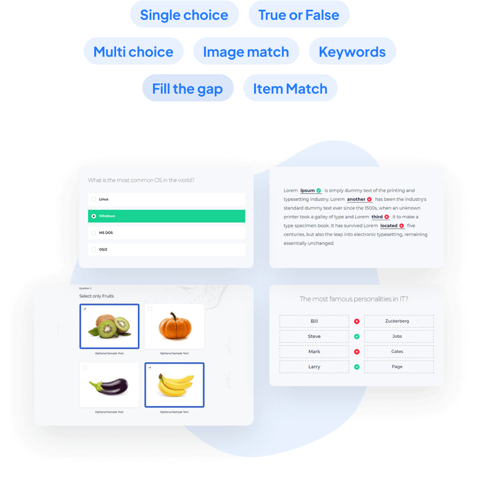 Interactive Quizzes