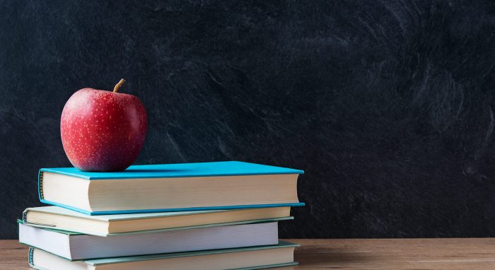 Best Education WordPress Themes