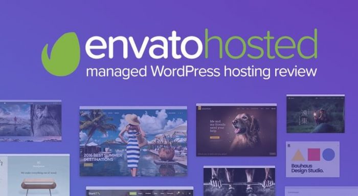 envato-hosted-review-900x445