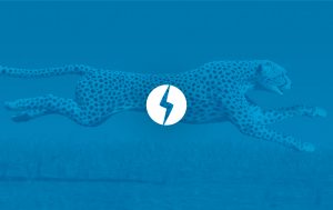 AMP WordPress