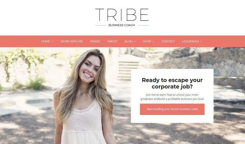 Tribe WordPress Theme for a Blog in 2018