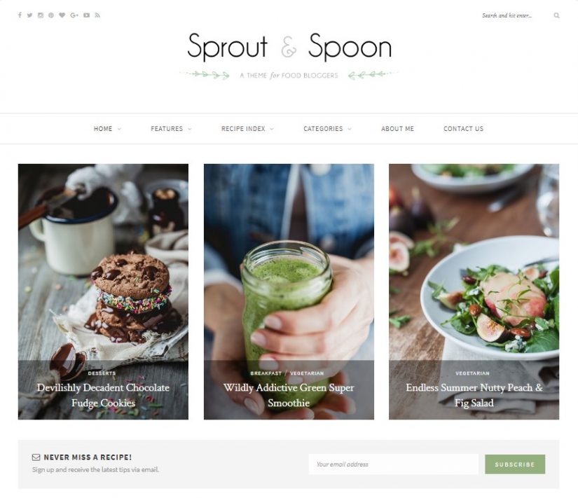 Sprout & Spoon WordPress Theme for a Blog in 2018