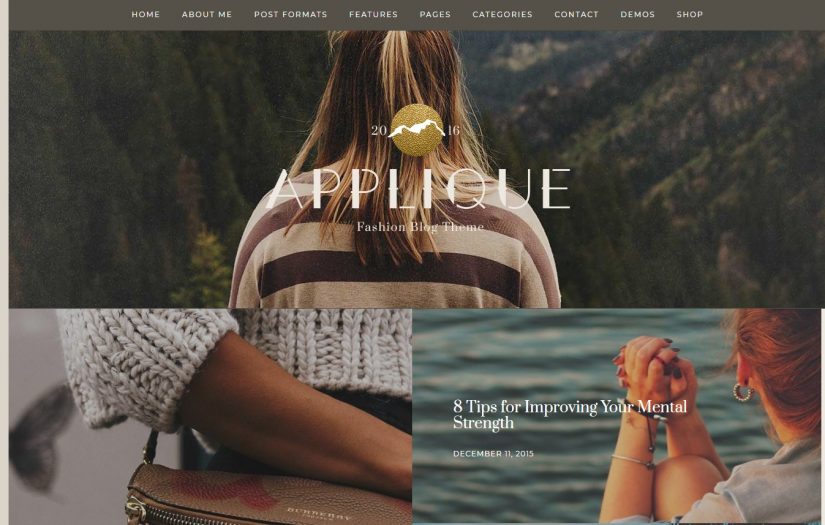 Applique WordPress Blog Theme in 2018