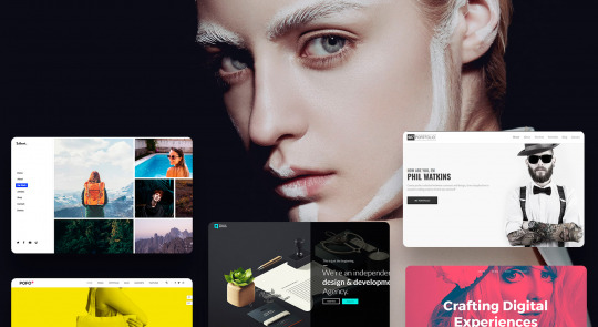 Best Portfolio WordPress Themes