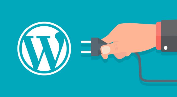 WordPress Plugin