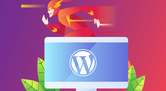 WordPress optimization tips