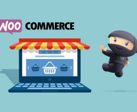 WordPress Online Store on WooCommerce WordPress Online Store on WooCommerce