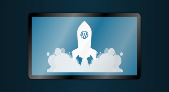 WordPress Speed Optimization
