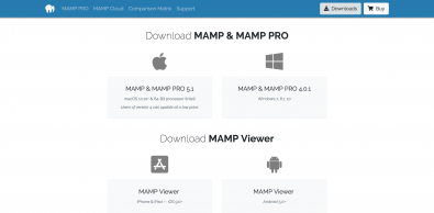 mamp wordpress with existing database