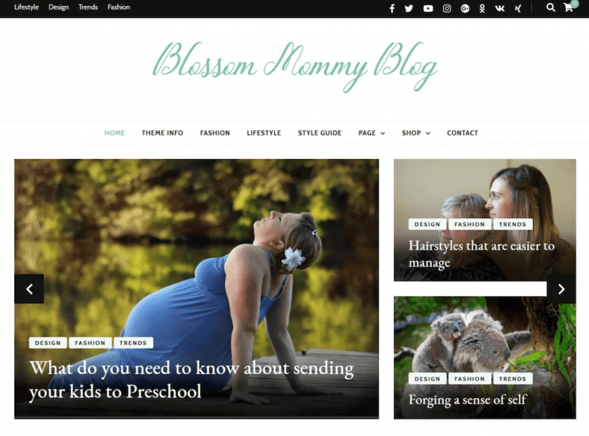 Blossom Mommy Blog By Blossom Themes