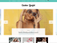 Fashion Lifestyle By Blossom Themes