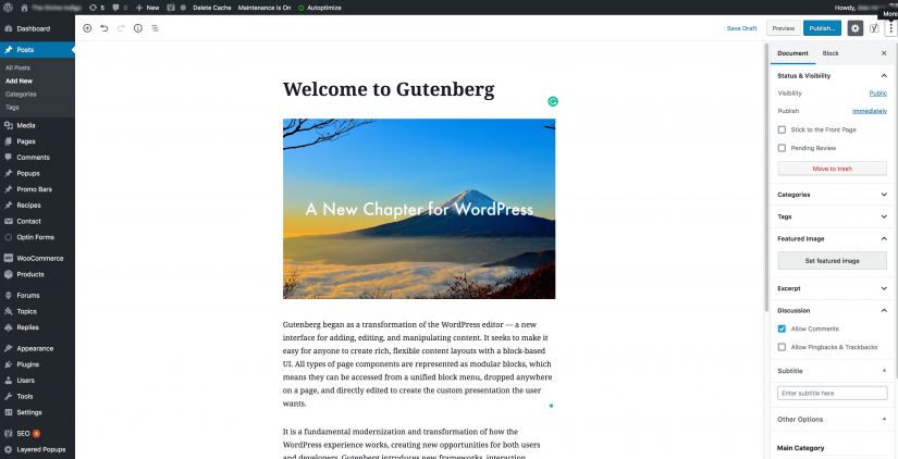 gutenberg introduction (1)