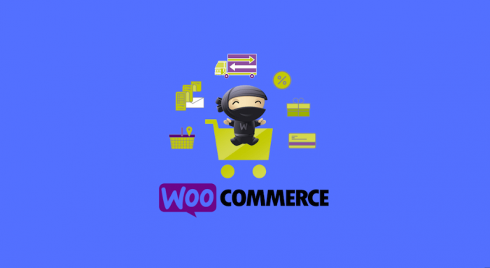 Best-WooCommerce-Plugin