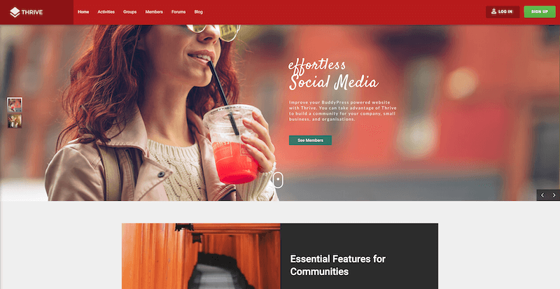 Thrive - Intranet-Extranet-Community WordPress Theme