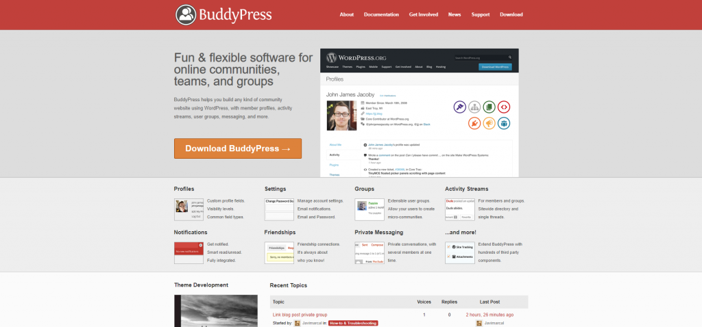 Сайт сеть ru. BUDDYPRESS шаблон. WORDPRESS BUDDYPRESS Group. BUDDYPRESS users. Free dating BUDDYPRESS Theme.