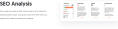 SEO analysis tool