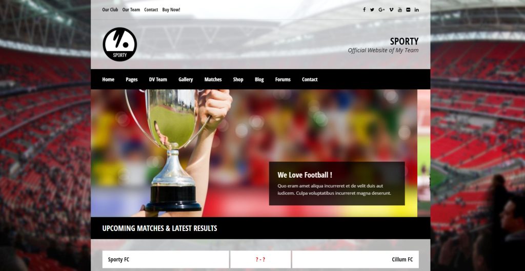 Best Sports WordPress Themes