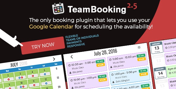 team booking wordpress calendar booking plugin