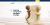 business consulting wordpress theme