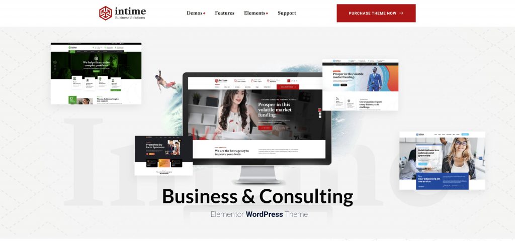 wordpress consulting themes