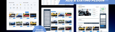 Motors Listing Plugin Launch